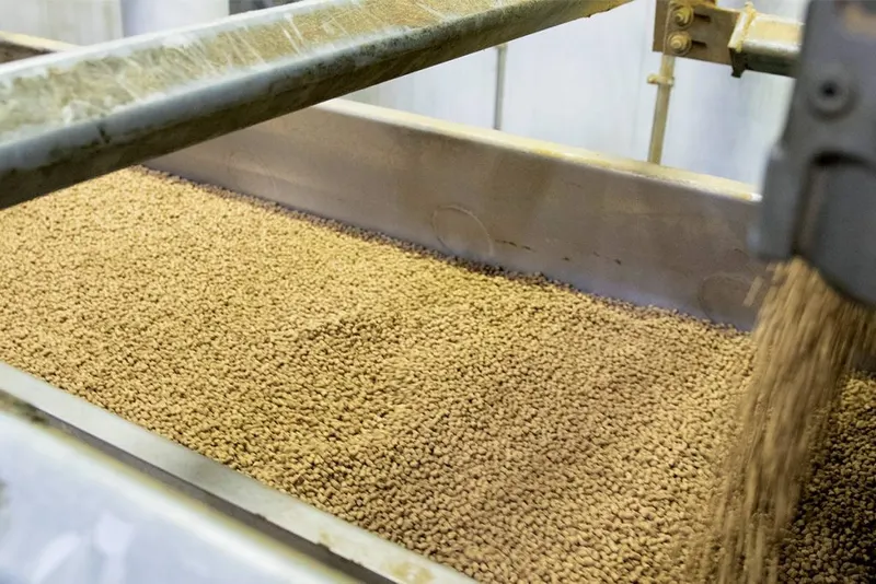 Food Industry